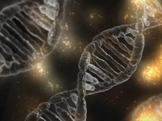 Ученые нашли сотни «генов интеллекта»