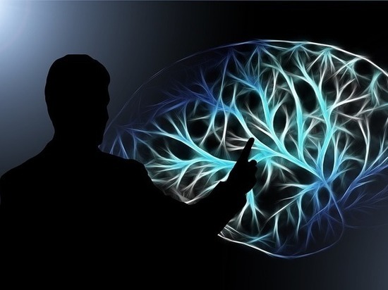 Ученые успешно вживили в мозг чип, улучшающий память