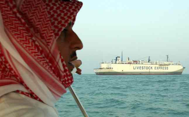 СМИ узнали о заявках на стройку канала между Катаром и Саудовской Аравией